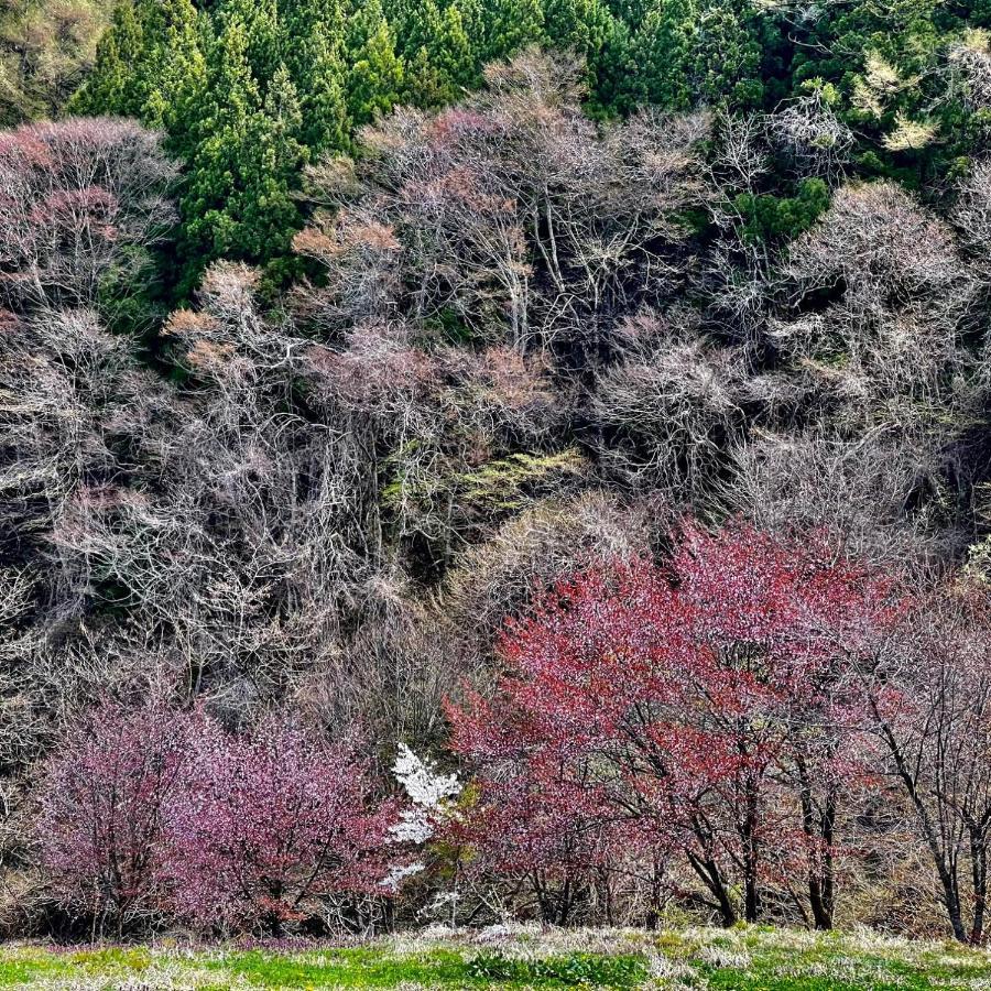 Hotel Sejour Mint In Hakuba Kültér fotó